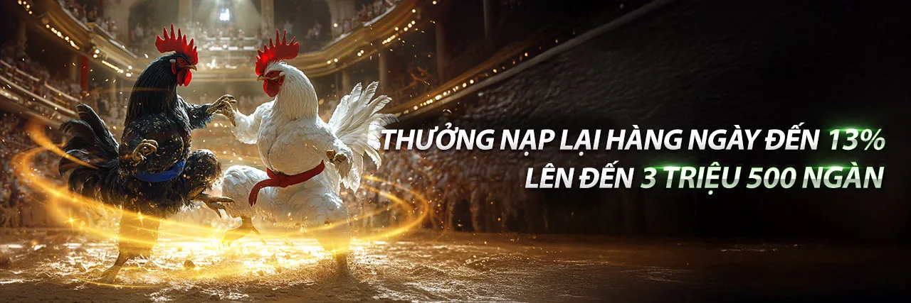 Hình ảnh tổng quan về Spobet nhà cái uy tín 2026